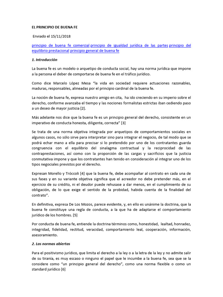 El Principio de Buena Fe PDF Juez Justicia