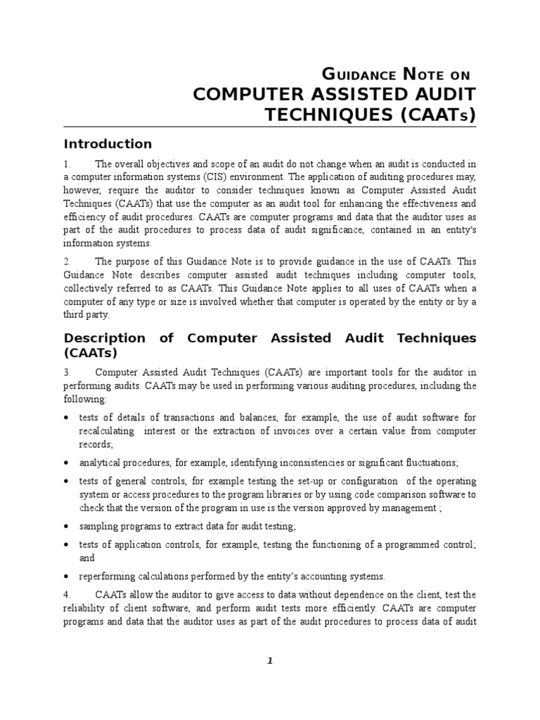 CAATs in Auditing: Techniques and Tools | PDF | Audit | Computer Program