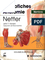 Mémofiches Anatomie - Netter