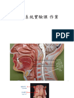 消化系統作業