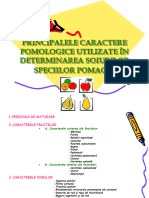 01 Caractere Pomacee