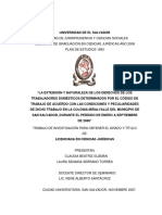 La Extención y Naturaleza de Los Derechos de Los Trabajadores Domésticos Determinados Por El Código de Trabajo de Acuerdo Con Las Condiciones y Peculiaridades de Dicho Trabajo en La Colonia Miralvalle