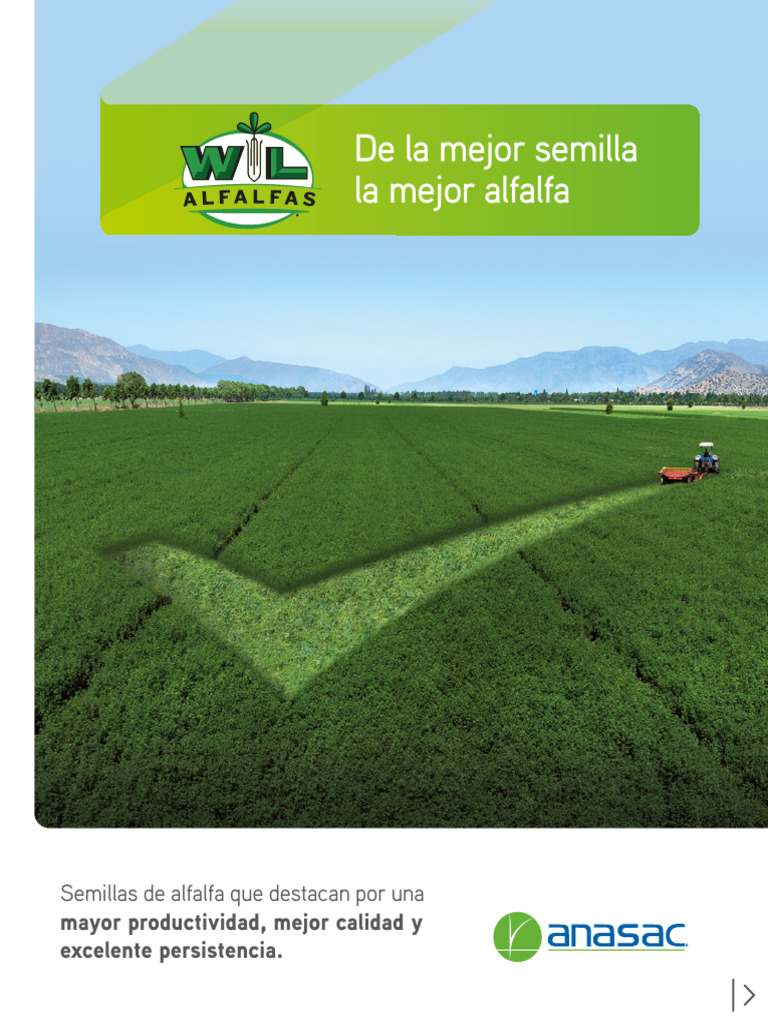 Alfalfas Enduring Impact Discover The Legacy Of This Beloved Icon - wv58syt
