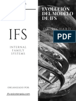 1 PDF Evolución Del Modelo de IFS Robert Falconer