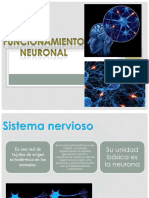 Funcionamiento Neuronal