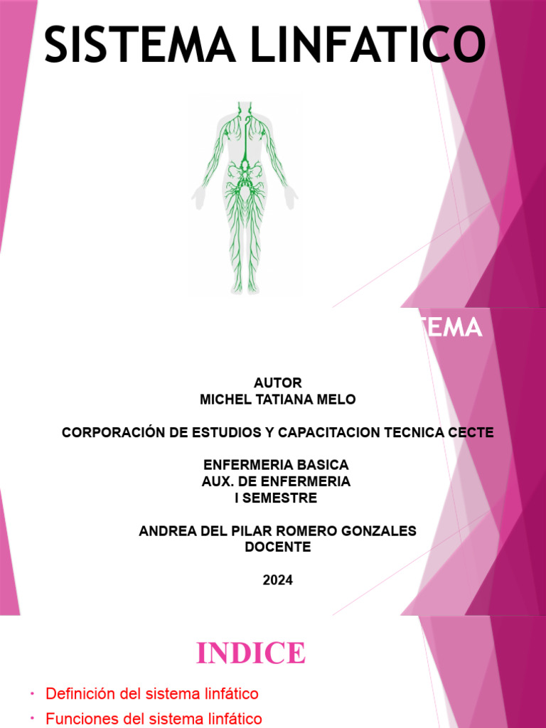 Presentacion Del Sistema Linfatico Descargar Gratis Pdf Sistema