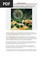 Según una investigación de científicos estadounidenses