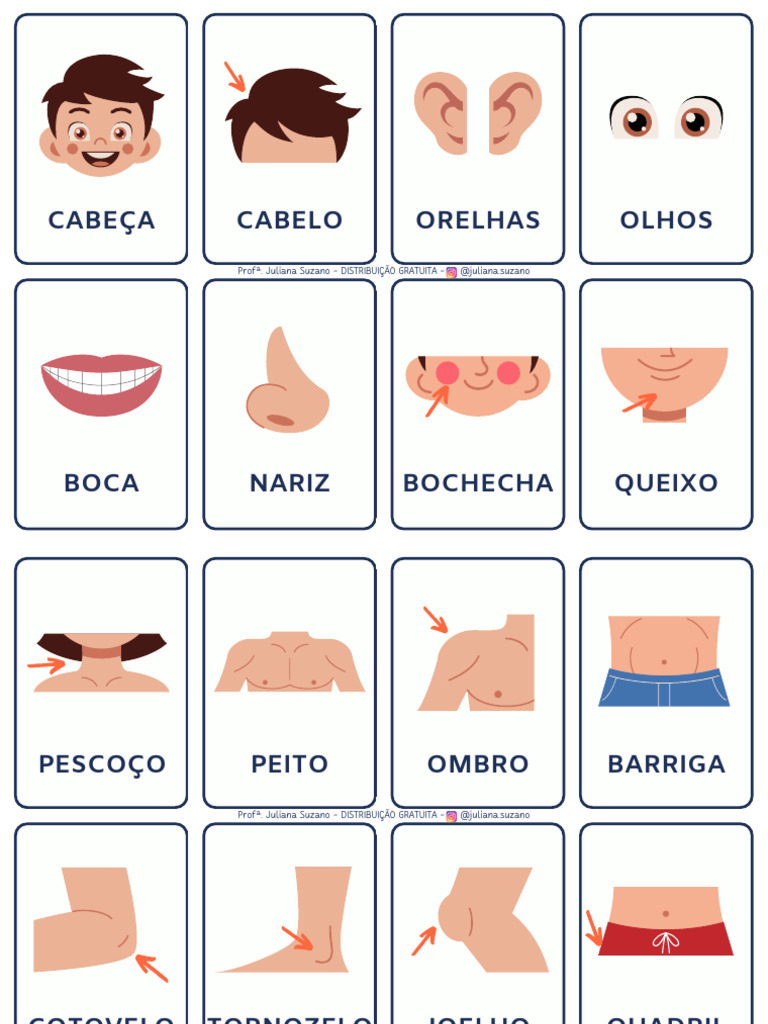 Partes do Corpo Humano para Imprimir | PDF