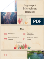 Lagunage À Microphytes (1) Final