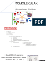 23-24 1FB3 R3.Metabolito Zelularrak: Gluzidoak