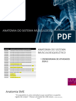 Aula 2 Da Disciplina de Anatomia Do Sistema Musculoesquelético - Miologia e A Face