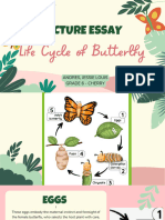 Pink & Green Colorful Fun Illustrative Tropical Butterfly Animated Presentation