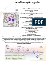 Resumo Cèlulas Da Inflamação Aguda