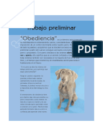 Toaz - Info 101 Trucos Caninos PR