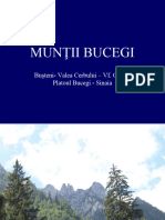 M-Tii Bucegi