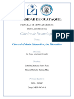 Cancer de pulmon Microcitico y no Microcitico - Salinas y Saltos