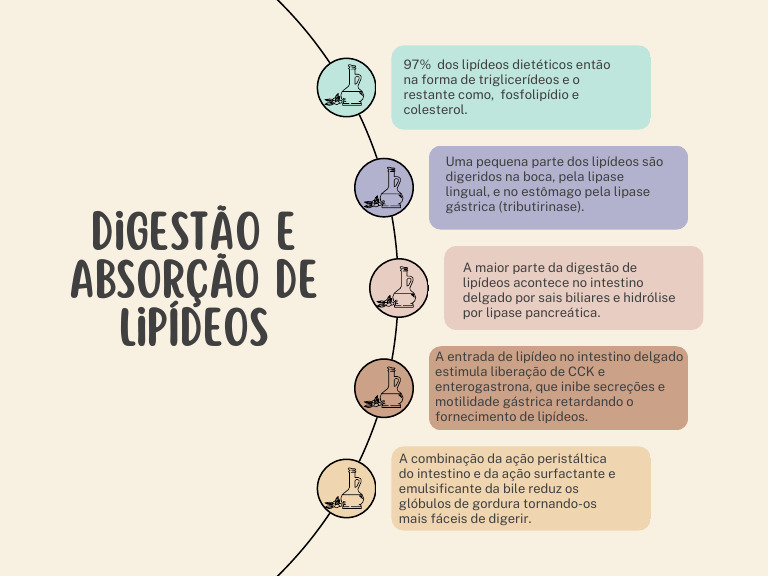 Digestão e Absorção de Lipídios | PDF