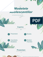 Proiect Modelele Adolescentilor