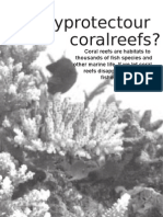 Why Protect Coral Reefs