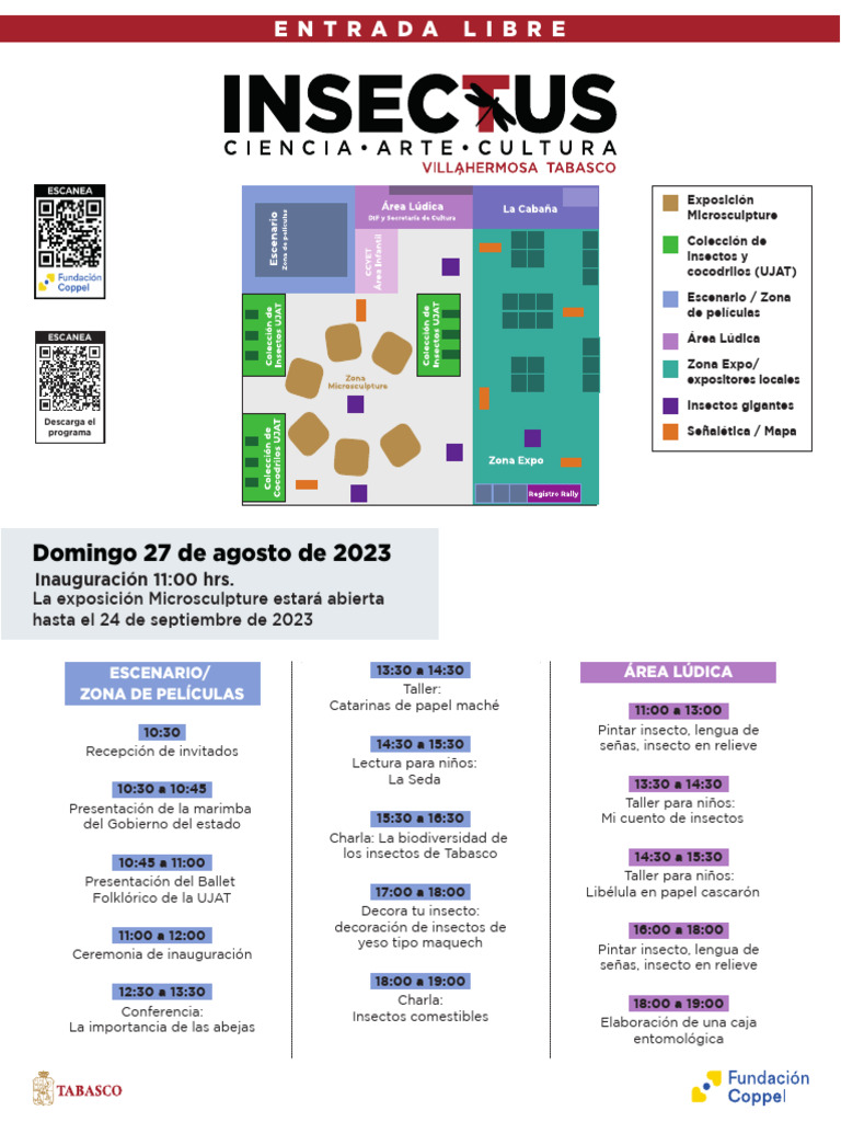 Insectus - Programa de Actividades 3 | PDF | Entomología | Hexapoda