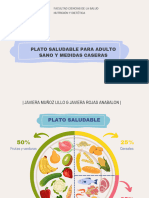 Distribucion Del Plato en Adulto Sano y Medidas Caseras