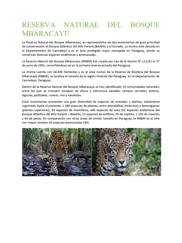 Reserva Natural Del Bosque Mbaracayú | PDF