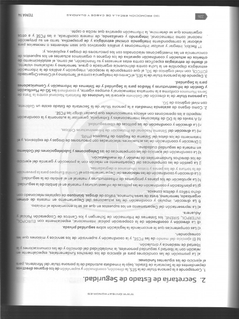 REPSES | PDF