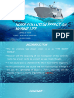 Noise Pollution On Marine Life