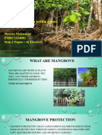 Mangrove Protection Habitat Against Natural Disaster Shweta Mahankar FMSC2324002 Sem-2 Paper - 4 (Elective)