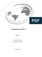 Fundamentos de PPP - I