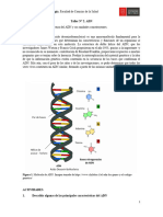 Taller 2 - Adn 4 - 7 Mayo