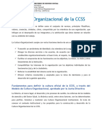 Cultura Organizacional CCSS