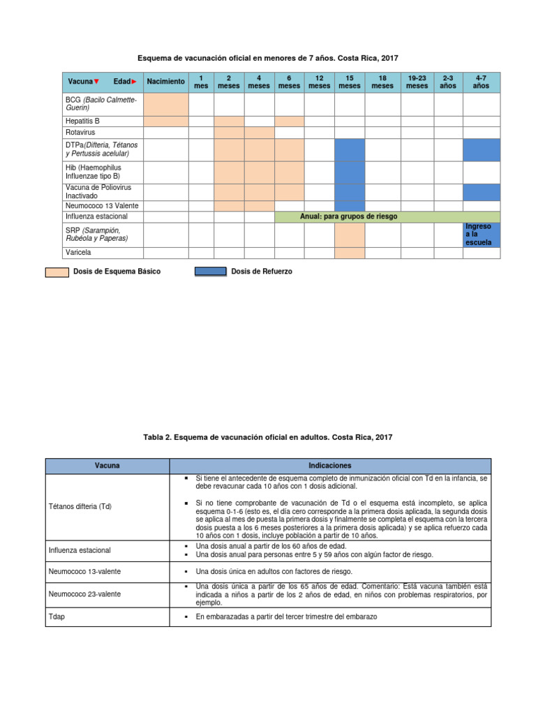Esquema Vacunacion Costa Rica Oficial 2017 Pdf Vacunas Biotecnología
