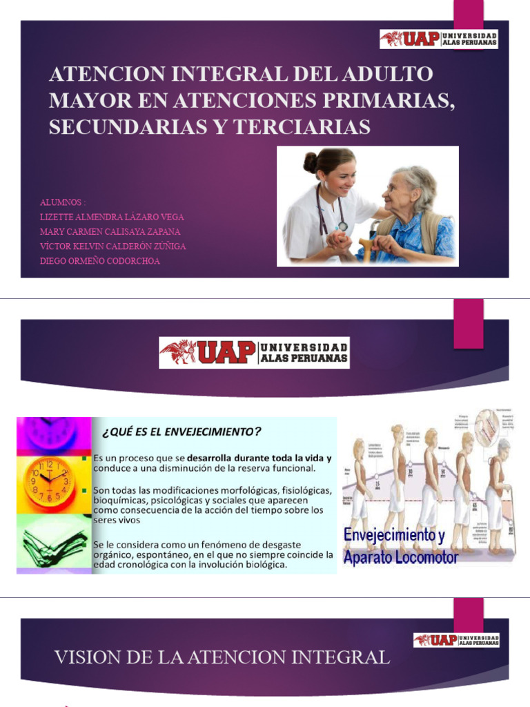 Modelo de Atención Integral Adulto Mayor | PDF | Vejez | Adultos