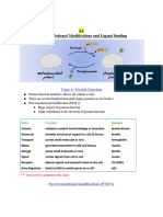 Biochem: Post-Translational Modifications and Ligand Binding