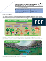 GUIA DE APREND CIENCIAS 16 y 17