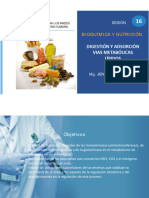 Digestión Absorción y Metabolismo Lípidos I