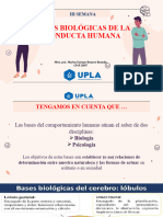 III Semana - Medicina Humana