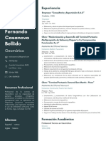 CV FernandoCasanova