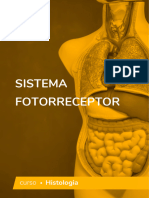 Sistema Fotorreceptor Vol 2