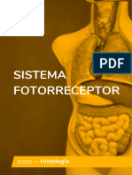 Sistiema Fotoreceptor Vol 1