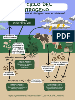 1-Ciclo Del Nitrógeno Ximena Jimenez