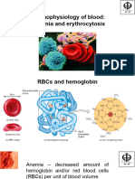 Anemia 2024