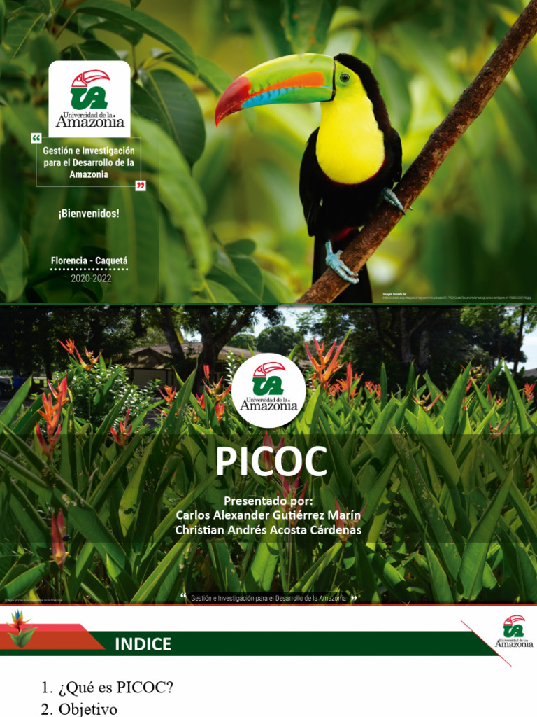 Picoc Corregido | PDF | Diabetes