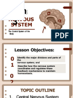 q3 Lesson 3 Nervous System