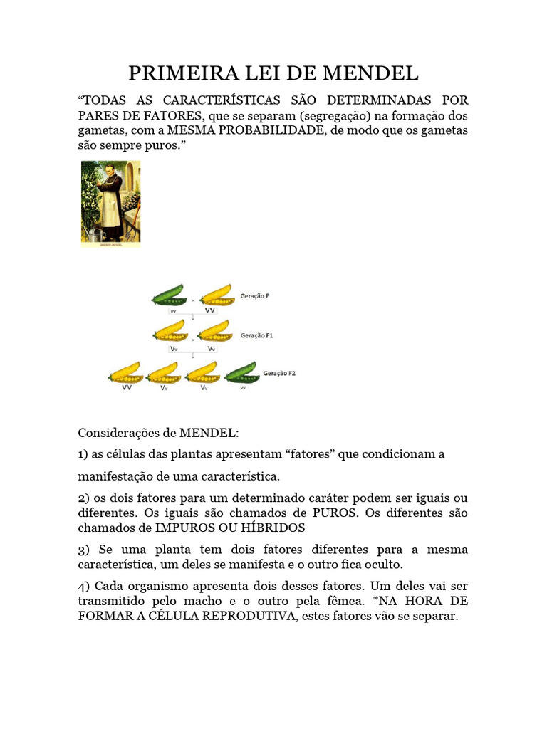 Primeira Lei de Mendel e Genética Básica | PDF | Alelo | Dominância ...