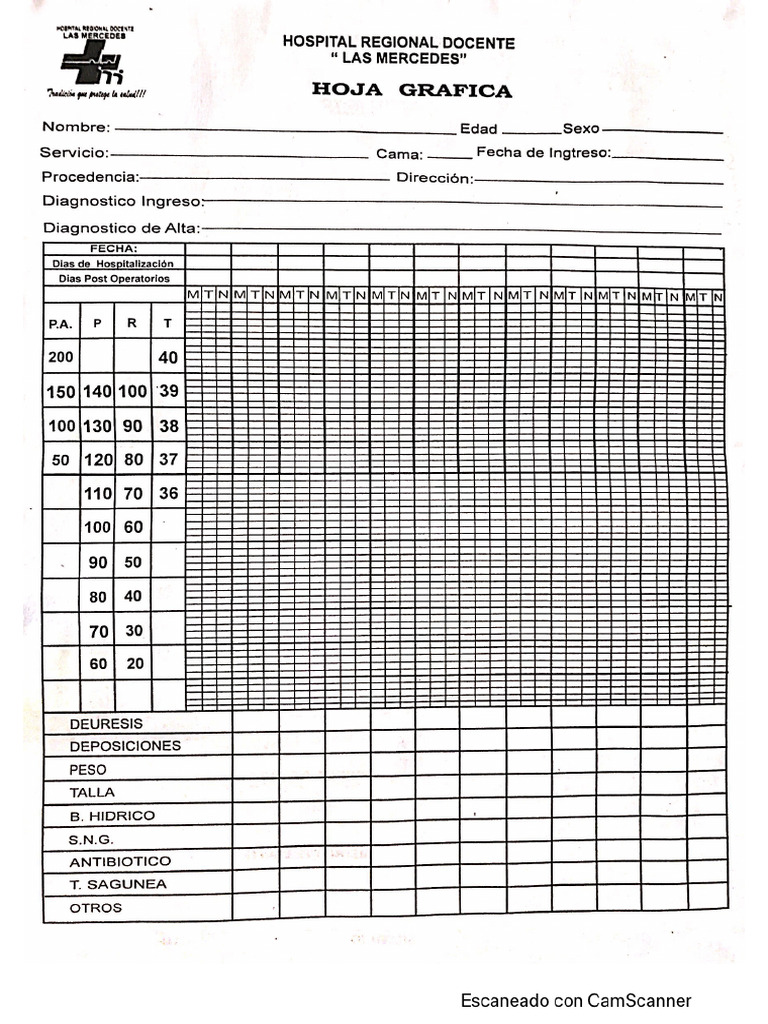Formato de Hoja Gráfica - Signos Vitales | PDF