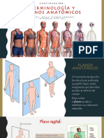 Planos Anatomicos Parte 2