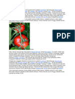 Tumbuhan Solanaceae Amerika Tengah Selatan Meksiko Peru: Tomat Atau Rangam (Solanum Lycopersicum) Adalah