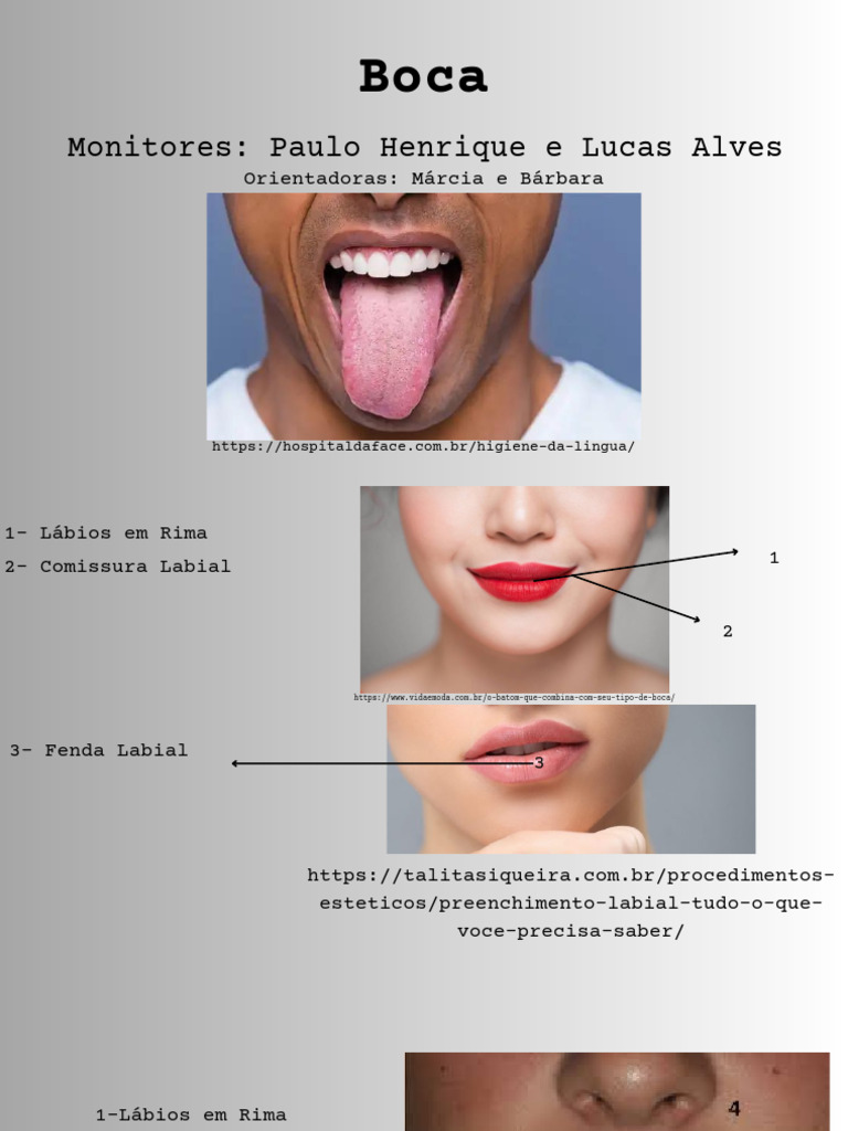 Anatomia da Boca e Cavidade Oral | PDF | Boca | Anatomia humana